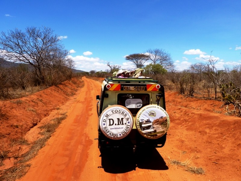 Kenia-Safari-Reise-Jeep-Tierbeobachtungen-DM-Tours-und Safaris