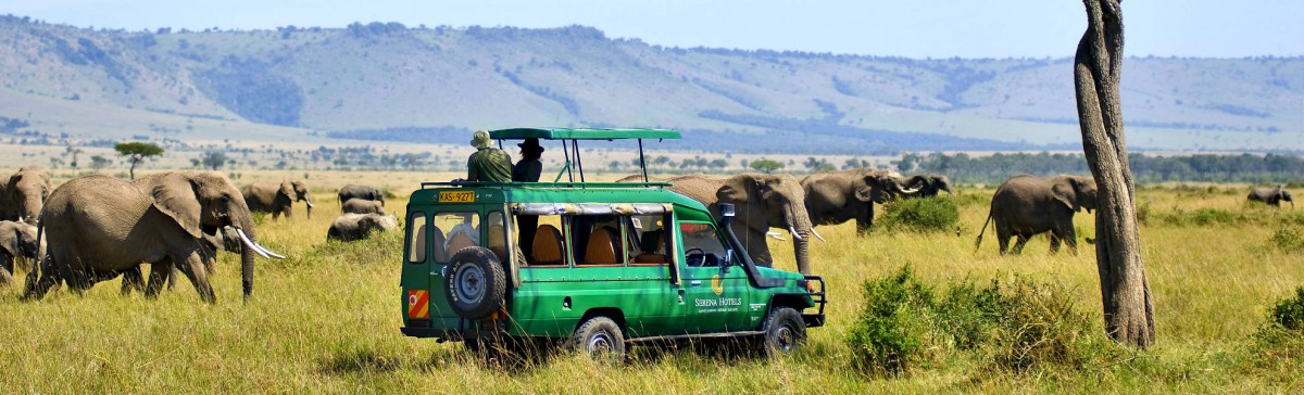 Elefanten auf einer Pirsch im Masai Mara Reservat