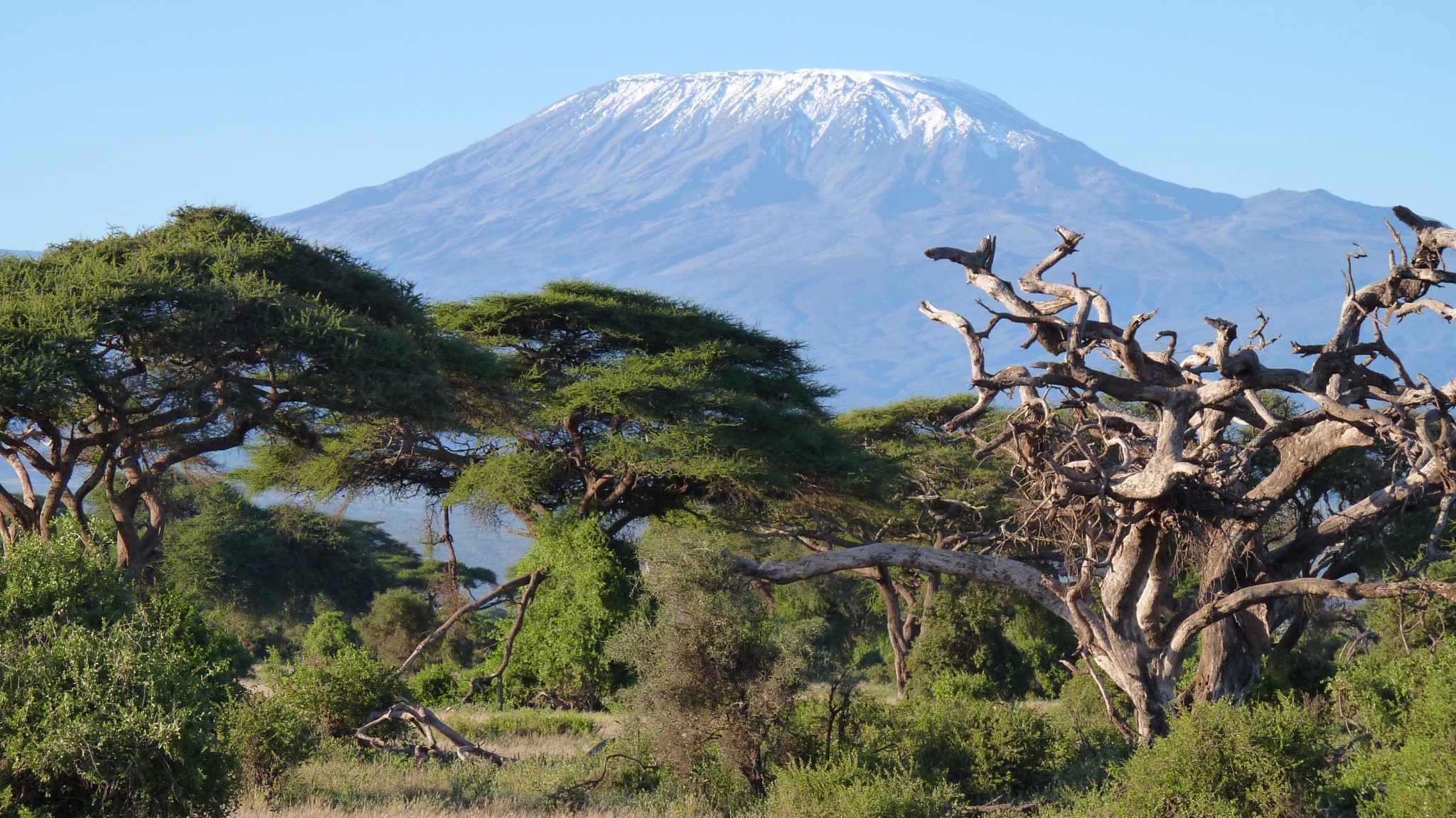Kilimanjaro während einer Kenia Safari
