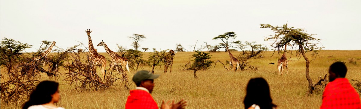 Fußpirsch am Karen Blixen Camp im Masai Mara Schutzgebiet