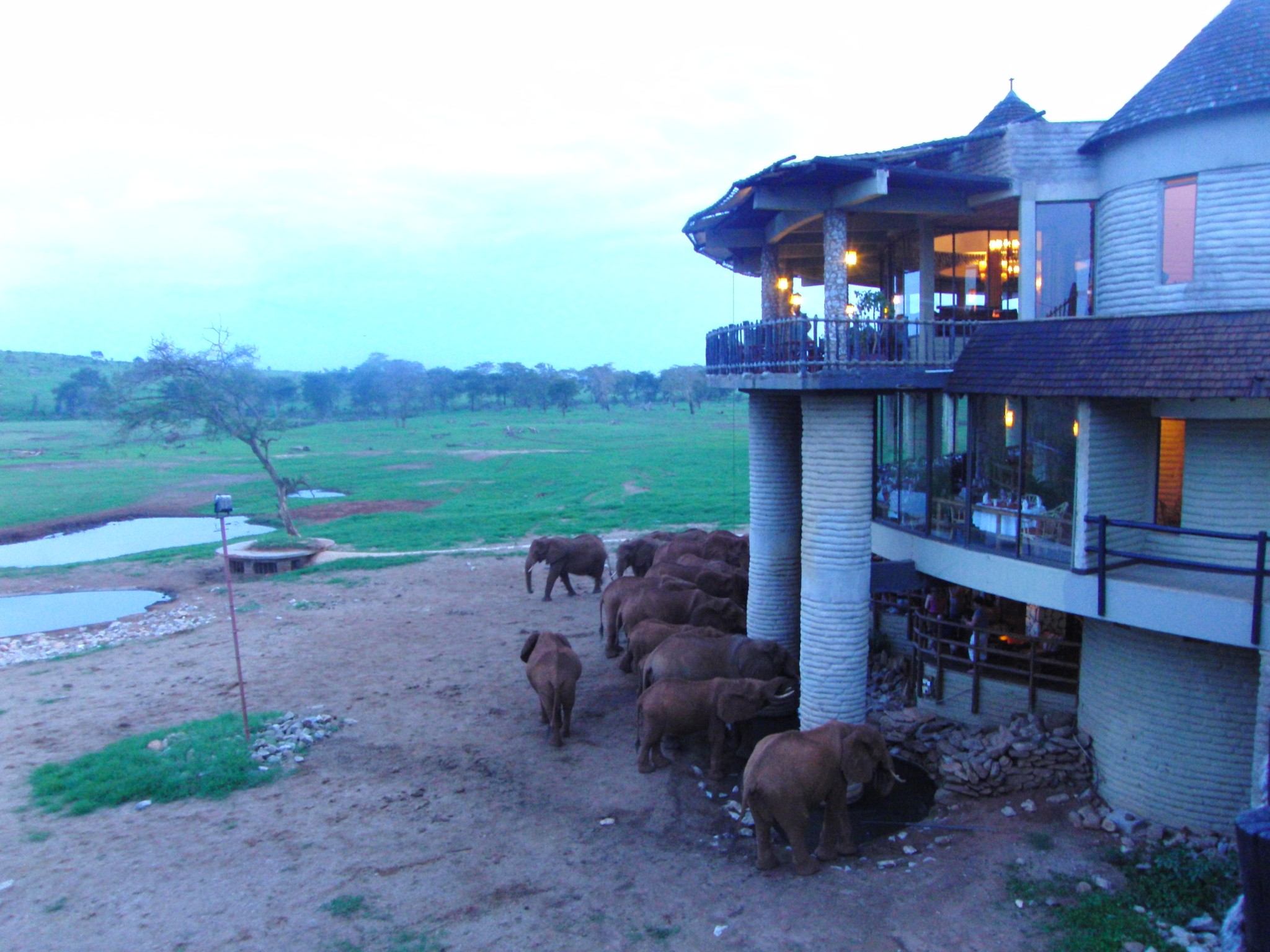 Elefanten in der Sarova-Saltlick-Game-Lodge-Taita-Hills-Schutzgebiet Keniasafari tour mit Keniaspezialist keniaurlaub.de Reisekontor Schmidt Leipzig