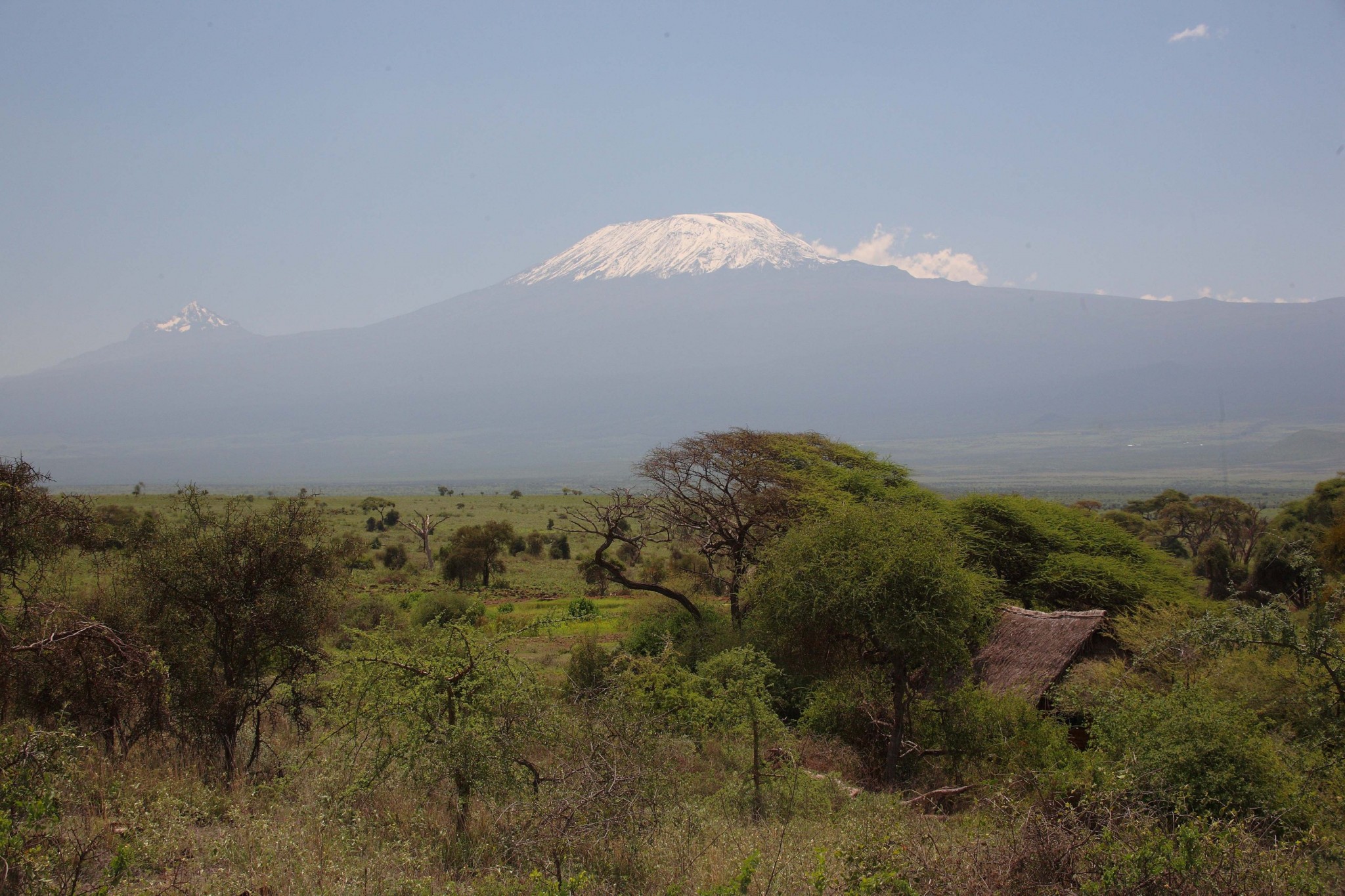 Blick zum Kilimandscharo vom Tortilis Camp