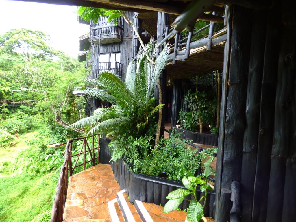 Shimba Hills Lodge am Wasserloch