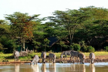 Sweetwaters Game Reservat in Kenia