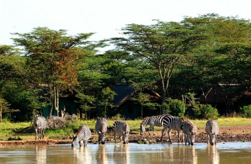 Sweetwaters Game Reservat in Kenia