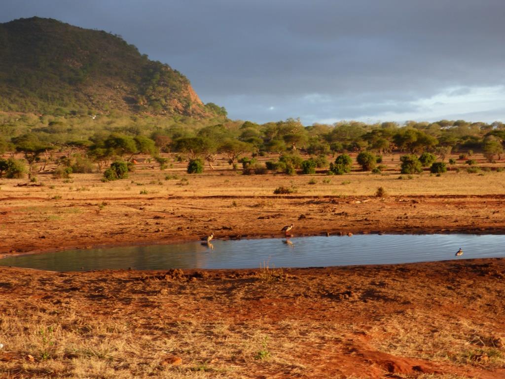 Auf-Safari-in-Kenia-Morgenstimmung-im-Tsavo-Nationalpark