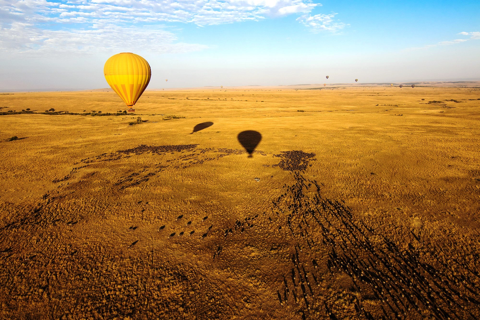 Masai Mara Ballonsafari in Kenia