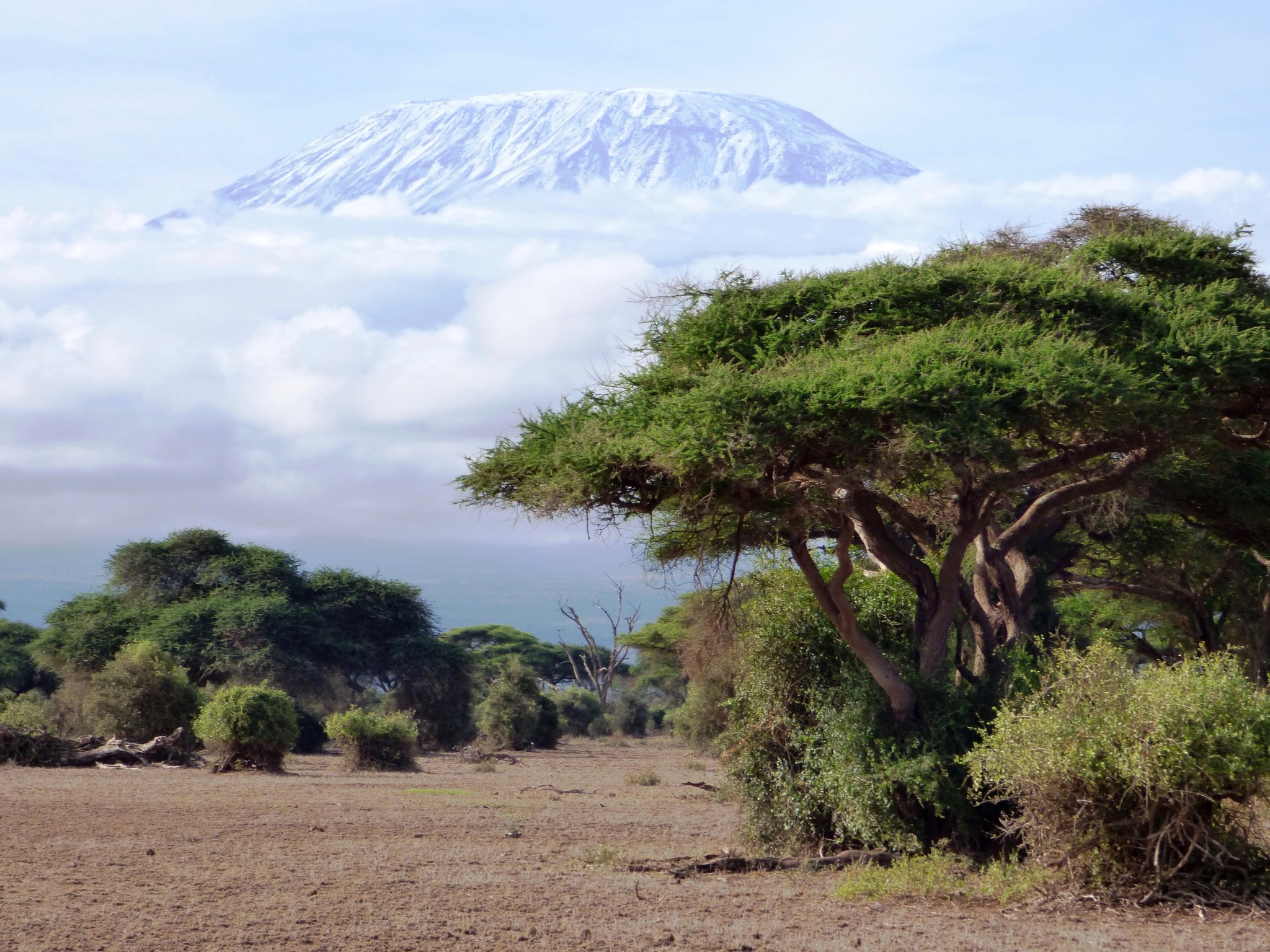 Kilimanjaro in Tansania vom Amboseli Nationalpark in Kenia aus