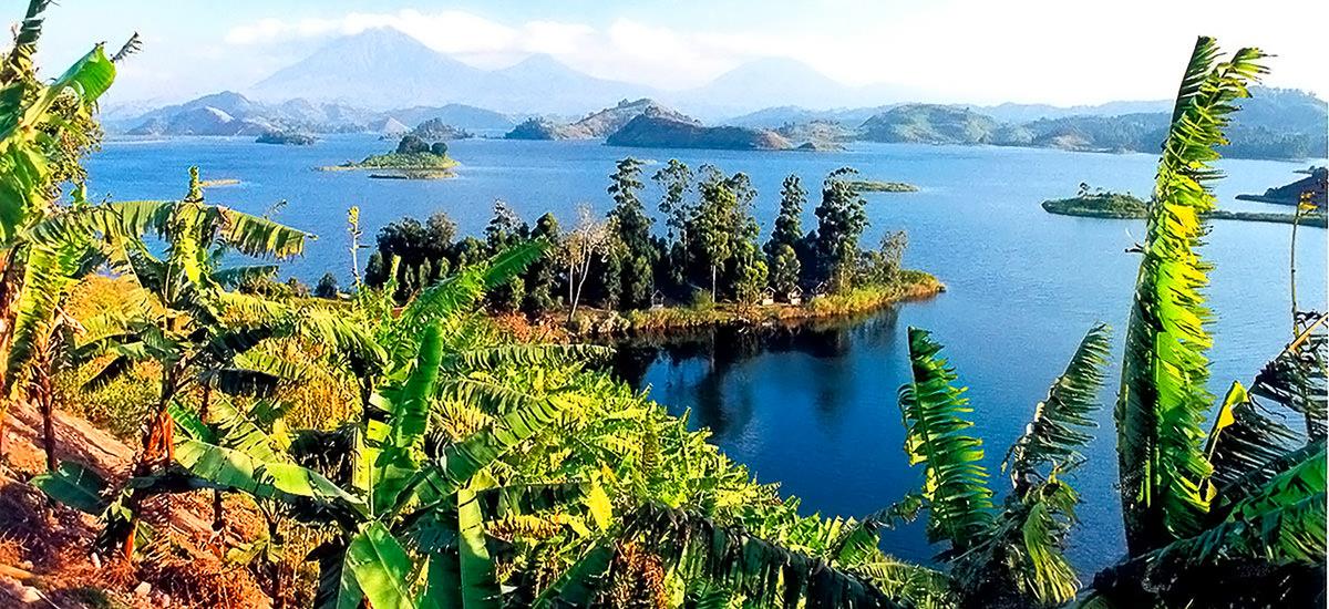 Gruppenreise Reisekontor Schmidt Gorilla Uganda Ruanda