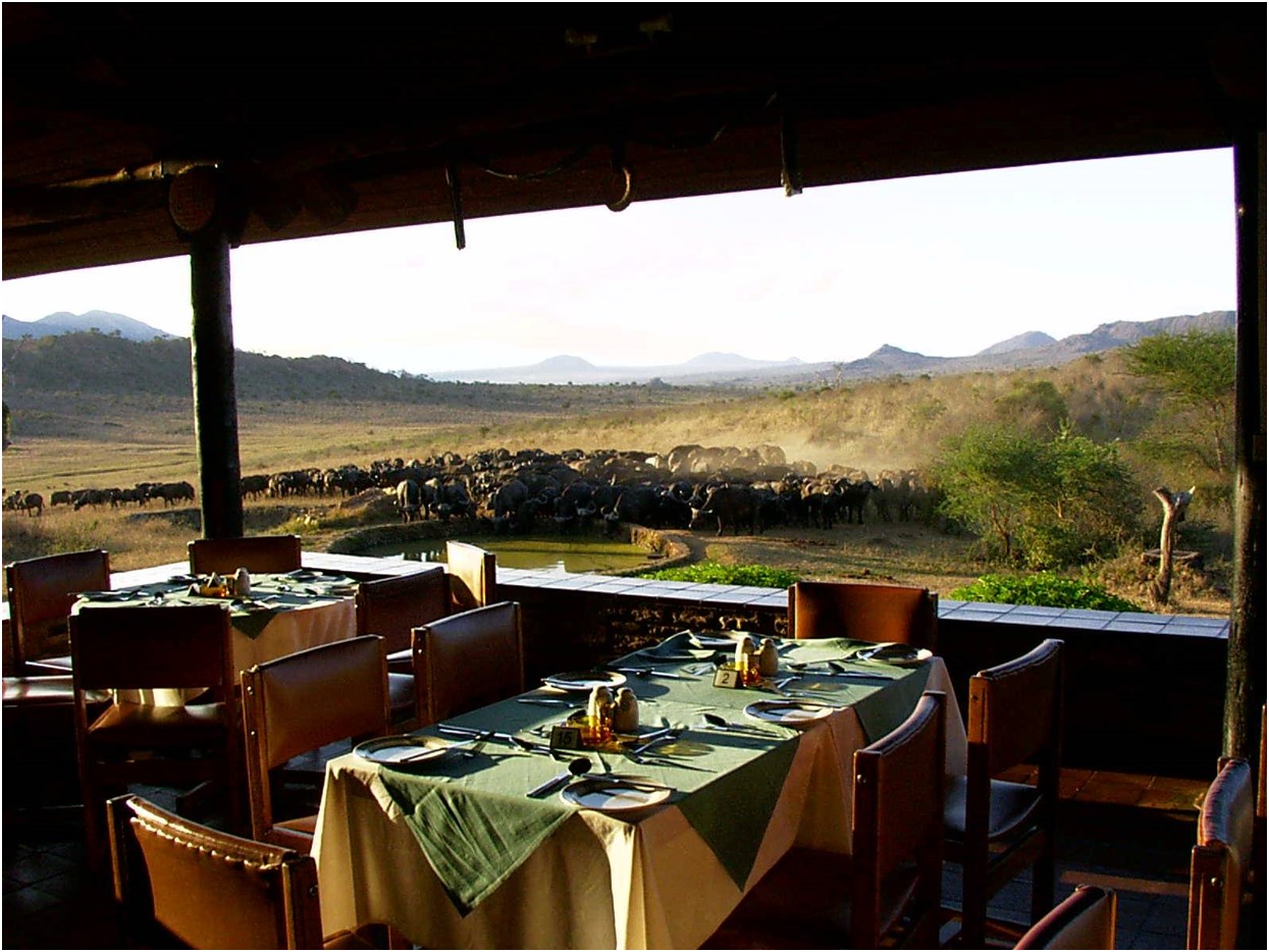 Ngulia Safari Lodge Kenia