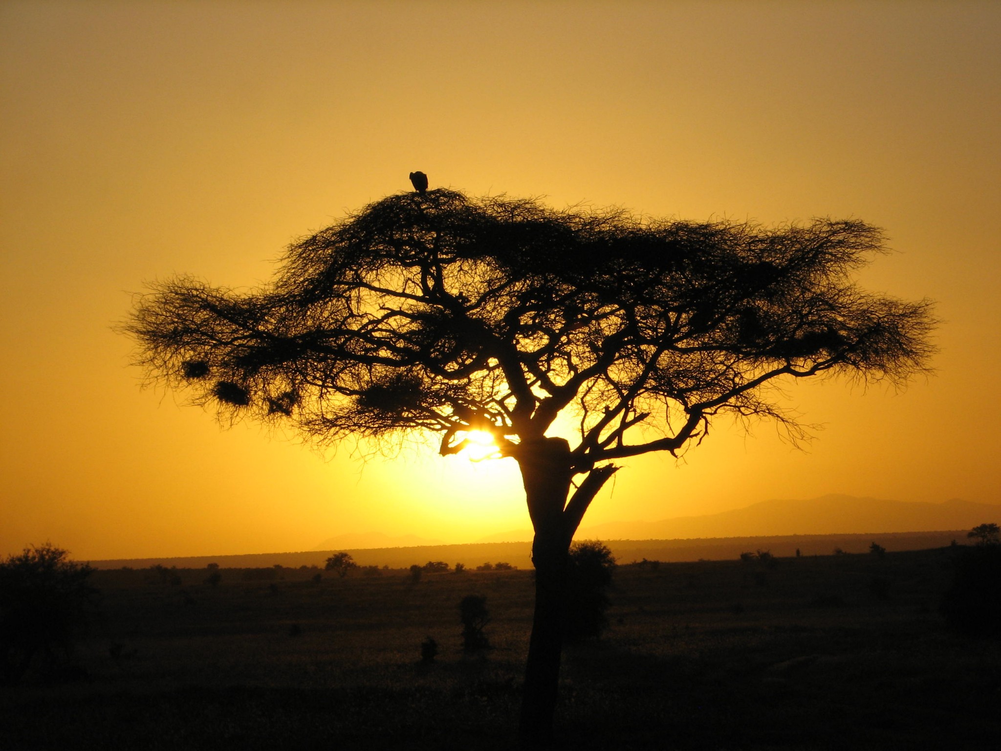 Kenia Urlaub Safari Reise Kundenfeedback