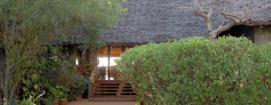 Ngutuni Lodge Kenia Safari
