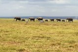 Kenia Safari Reise Kenia Urlaub