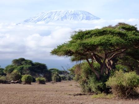 Kenia Urlaub Safari: Kilimanjaro vom Amboseli Nationalpark Kenia aus