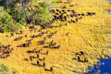 Botswana Okavango Gruppenreise Reisekontor Schmidt
