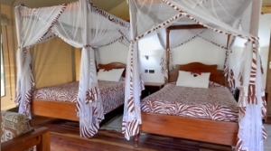 Kenia Safari im Lake Naivasha Crescent Camp mit KeniaSpezialist keniaurlaub.de Reisekontor Schmidt