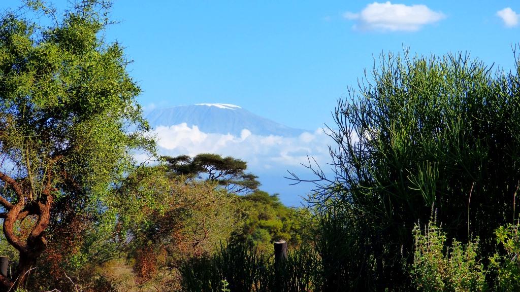 Kenia Safari Tour - Blick auf den Kilimanjaro während einer Kenia Safari mit Kenia Spezialist Reisekontor Schmidt Leipzig keniaurlaub.de