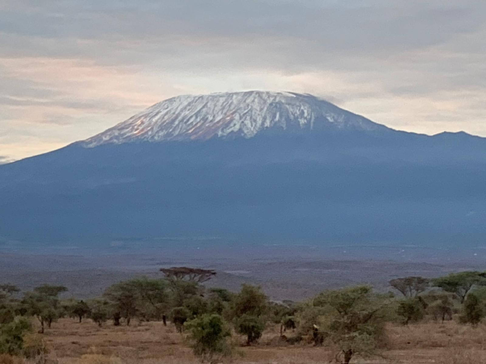 Kilimanjaro Amboseli während einer Kenia Safari Reise