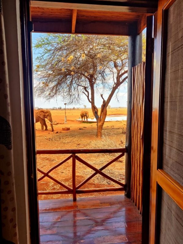 Wasserloch in einem Camp während einer Safari in Kenia - zwei Wochen mit Keniaurlaub.de