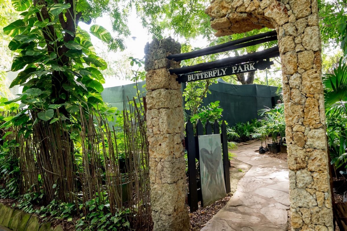 Kenia Hotel Serena Beach Resort & Spa Shanzu Beach butterfly-park