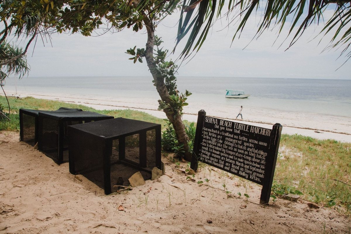Kenia Hotel Serena Beach Resort & Spa Shanzu Beach turtle-hatchery