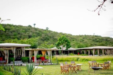 Zebra Plains Mara Camp - Unterkunft während einer Massai Mara Safari