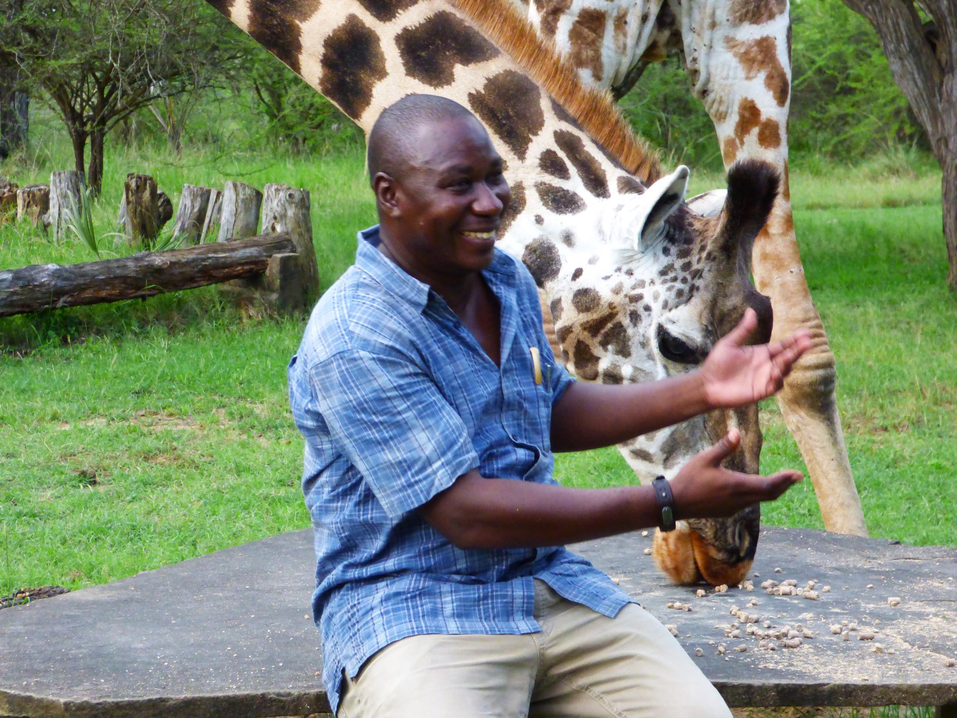 Kenia Nguuni Schutzgebiet Tiere hautnah erleben