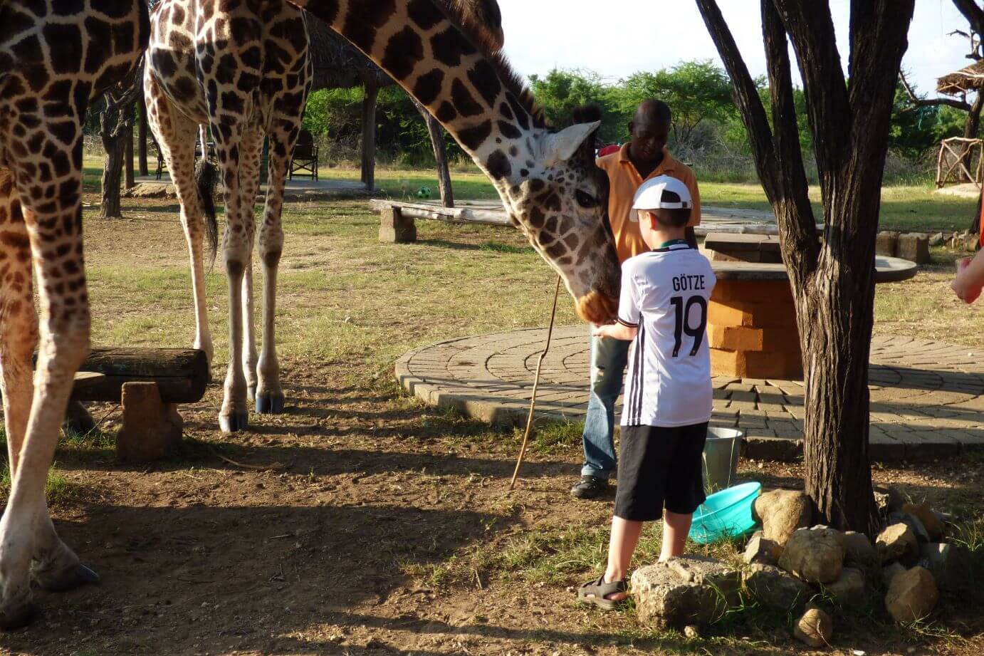 Kenia Nguuni Schutzgebiet Tiere hautnah erleben - Kenia Safari mit Kind