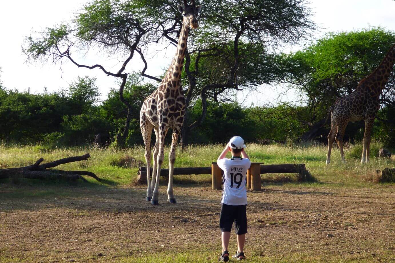 Kenia Nguuni Schutzgebiet Tiere hautnah erleben - Kenia mit Kind
