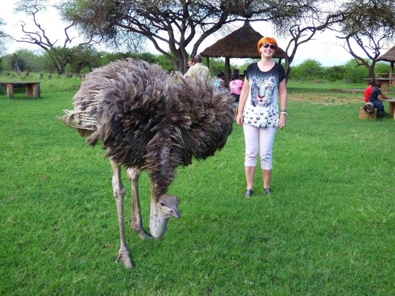 Kenia Nguuni Schutzgebiet Tiere hautnah erleben