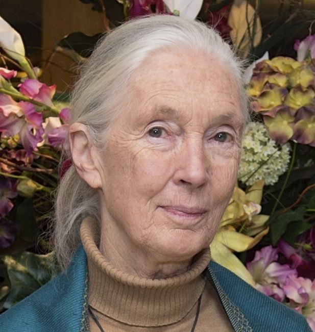 Jane Goodall 2015 - U.S. Department of State
