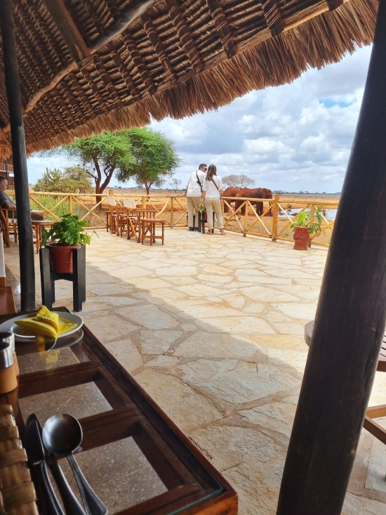 Kenia Safari Unterkunft Ngutuni Lodge - Elefanten hautnah direkt vor der Terrasse