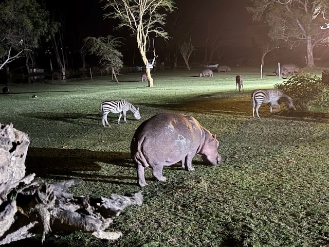 Nachts im Camp während einer Kenia Safari mit Keniaspezialist Reisekontor Schmidt keniaurlaub.de