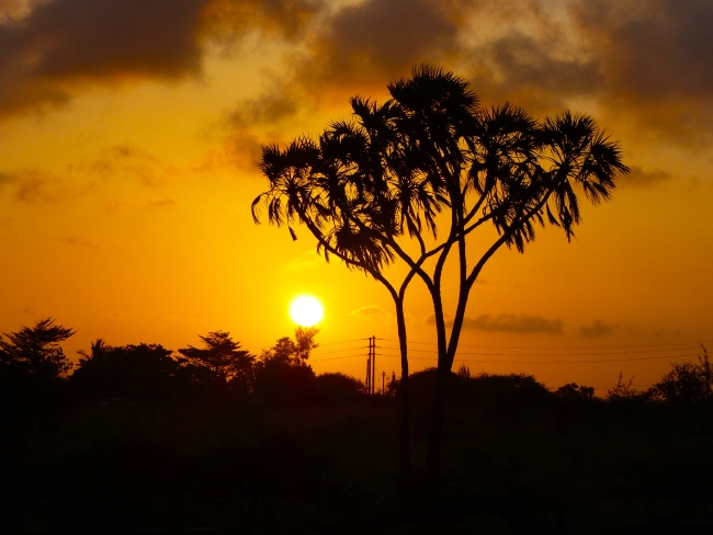 Keniareise Bewertung Kenia Safari mit Keniaspezialist Reisekontor Schmidt - keniaurlaub.de - Sonnenuntergang