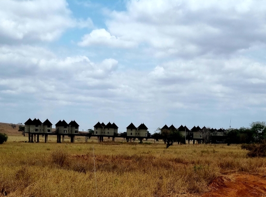Kenia Safariunterkunft Salt Lick Safari Lodge - keniaurlaub.de