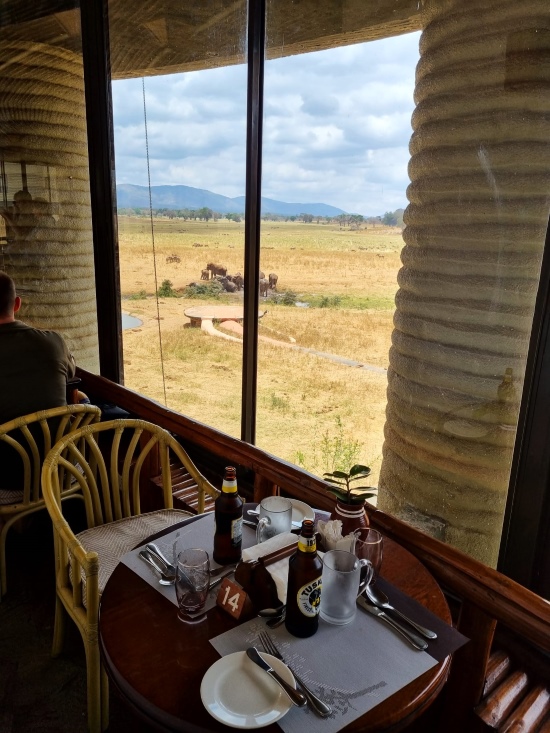 Kenia Safariunterkunft Salt Lick Safari Lodge - Ausblick vom Restaurant - keniaurlaub.de