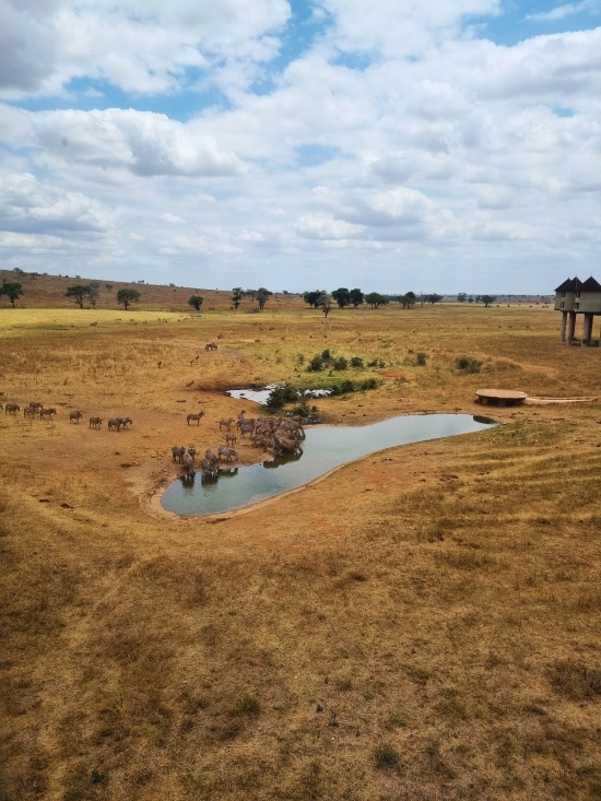 Kenia Safariunterkunft Salt Lick Safari Lodge - Ausblick - keniaurlaub.de