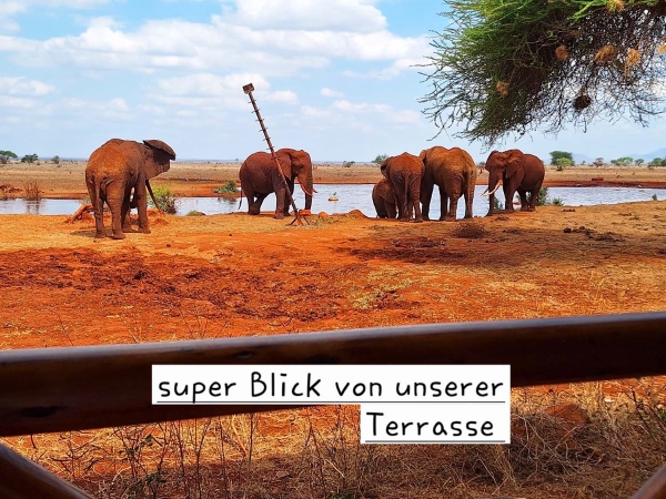 Kenia Safari Bewertung - Ngutuni Lodge, Blick von Terrasse auf Elefanten