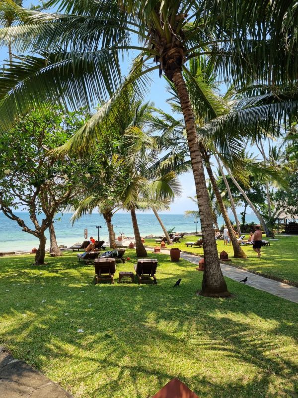 Severin Sea Lodge in Kenia - Bick auf Liegewiese und Strand Diani Beach - keniaurlaub.de Reisekontor Schmidt