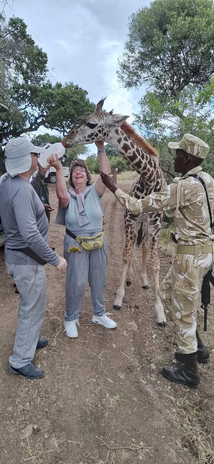 Giraffenbaby füttern im Rhinoschutzgebiet in der Masai Mara - während einer Kenia Safari Reise mit Keniaspezialist Reisekontor Schmidt keniaurlaub.de