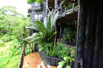 Shimba Hills Lodge am Wasserloch