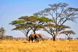 Kenia & Tansania / Sansibar – Gruppenreise „Ostafrika pur“ mit den Afrikaexperten vom Reisekontor Schmidt