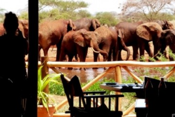 Ngutuni Safari Lodge Kenia