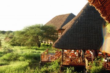 Ngutuni Lodge in Kenia
