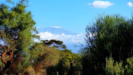 Samenbank für Bäume in Kenia