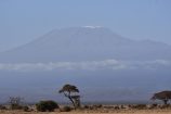Kilimanjaro , Amboseli, während einer Kenia Safari