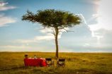Kenia Aruba Mara Camp BushDinner- Masai Mara Safari Kenia erleben
